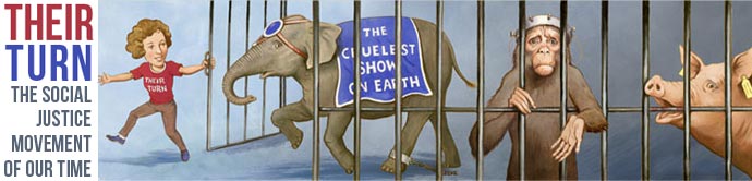 Their Turn banner