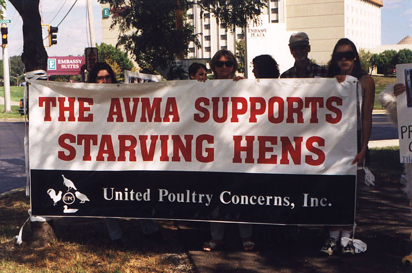 The AVMA Supports Starving Hens
