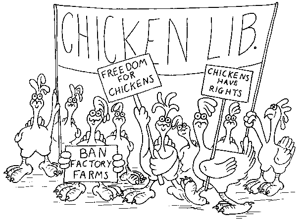 Chickens Lib