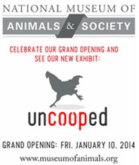 uncooped Grand Opening