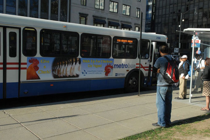give_a_cluck_ad_on_bus-s (67K)