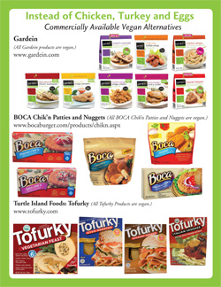 Instead of Chicken, Turkey, and Eggs - Commercially Available Vegan Alternatives 