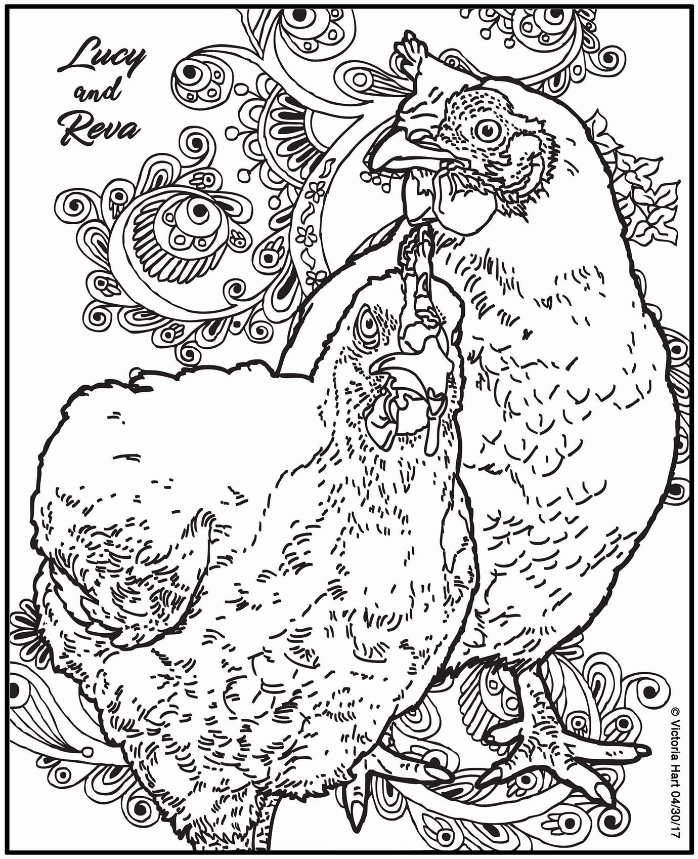 Drawing of chickens Reva and Lucy as a children's coloring picture.