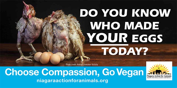 Niagara Action for Animals billboard