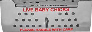 Live Baby Chicks Box