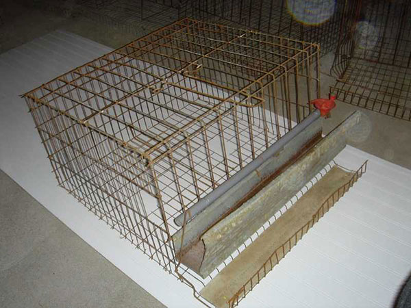 Battery Cages 2