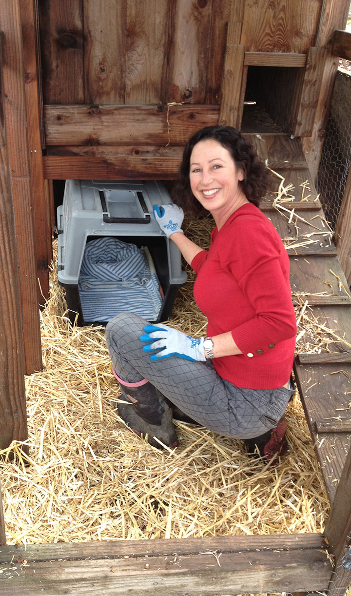 Deb prepares the coop