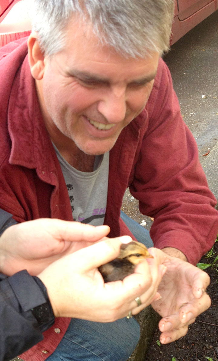 Rescuers catching the chicks