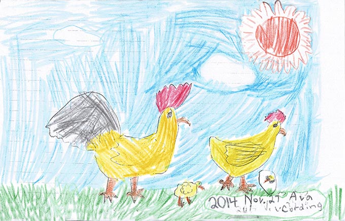 Chickens in the grass