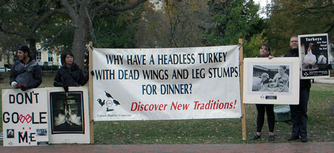 2012 wh turkey leafleting