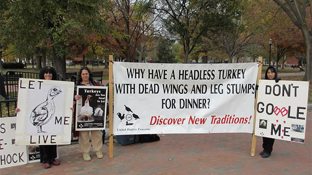 UPC protest at turkey pardon