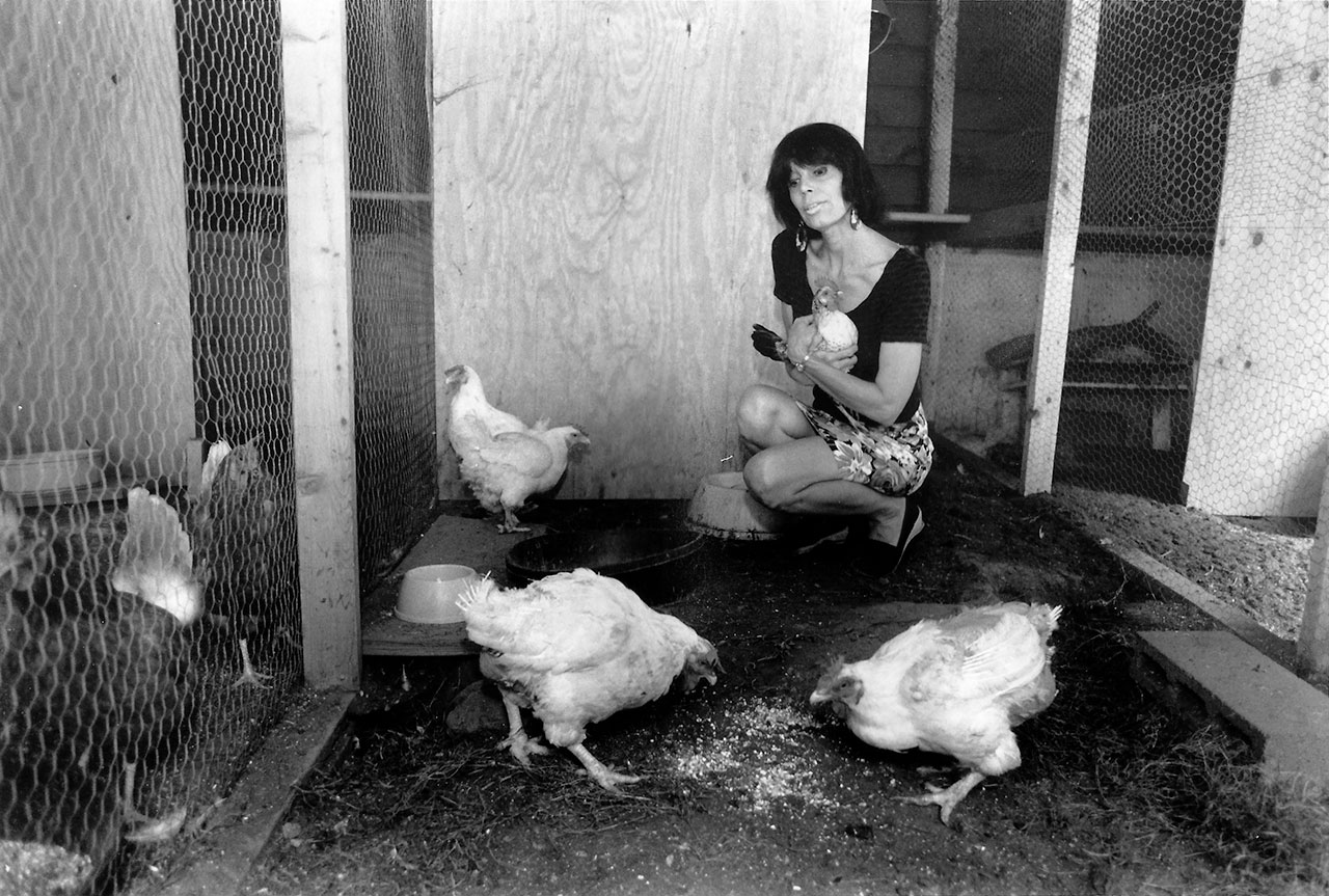 chickens come first in her pecking order