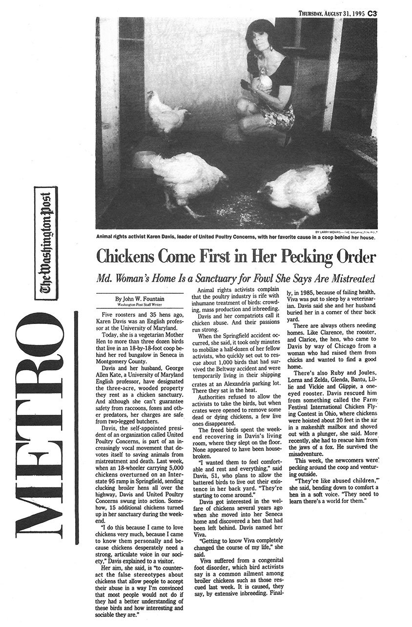 chickens come first in her pecking order article