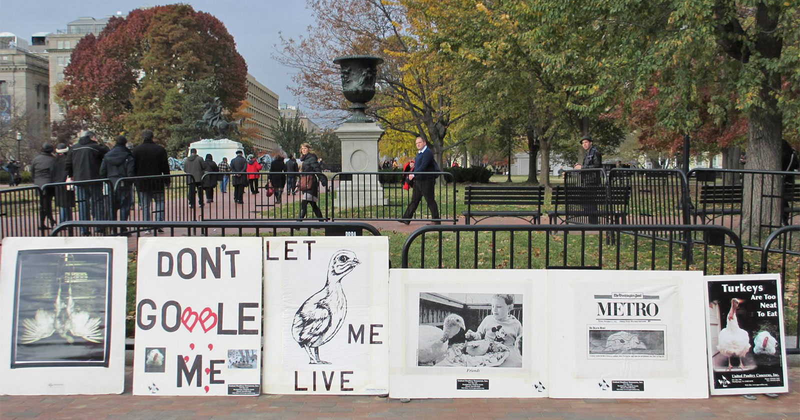Protest signs near the White House