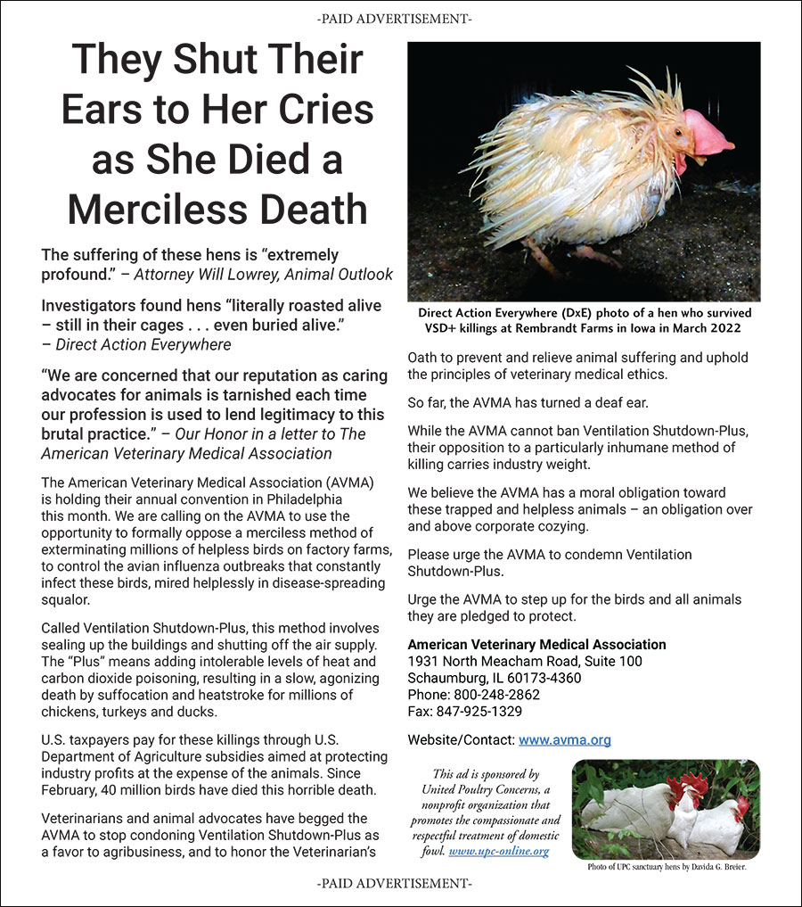 They Shut Their Ears to Her Cries as She Died a Merciless Death - Back Page