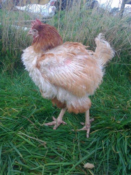 ex battery feeling grass under her feet for the first time