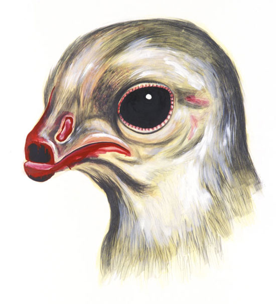 de-beaked chick