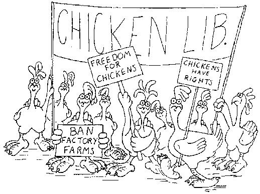 Chicken Lib.