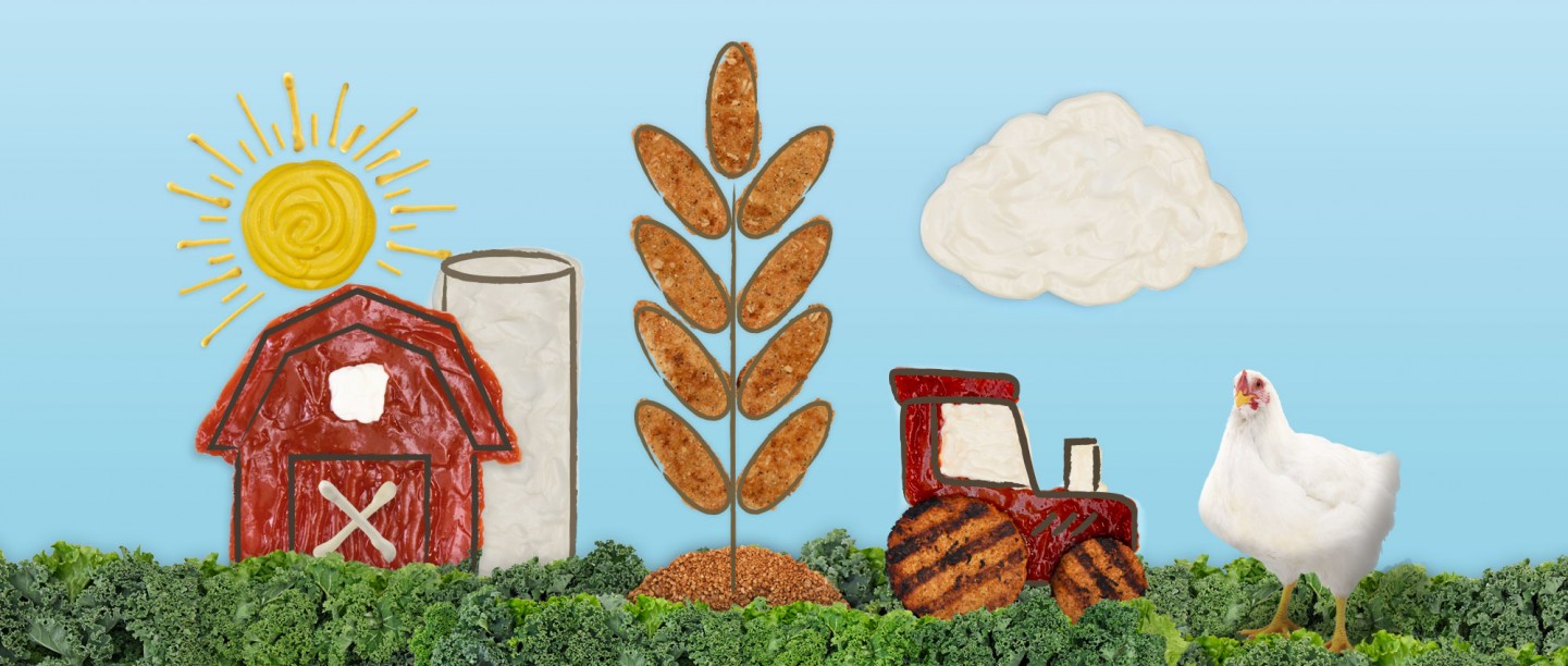 Artwork by Meredith Lee and Rachel Stern, HSUS