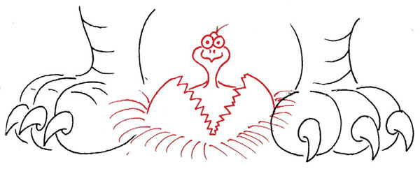natures chicken hatch