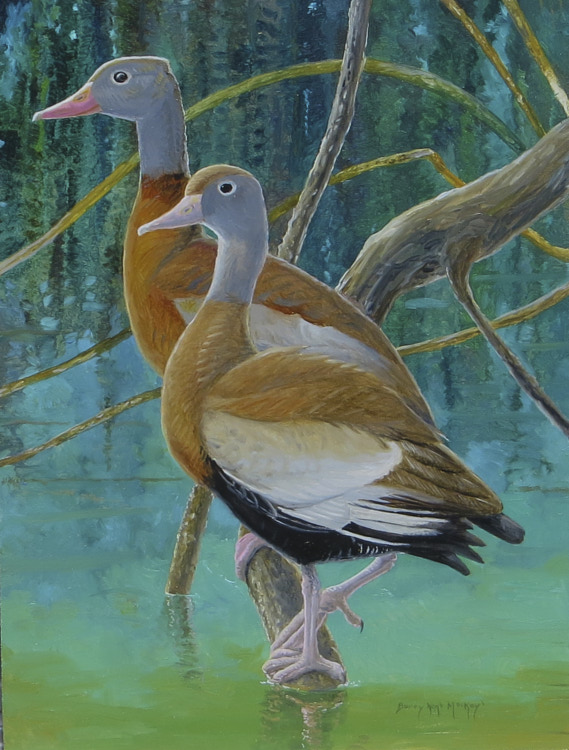 painting of two Black-bellied Whistling-Ducks