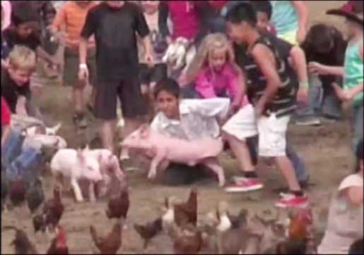children and animals in cruel barnyard scramble