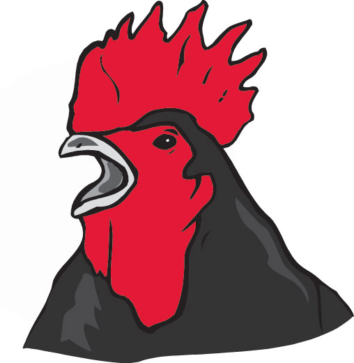 Rooster Announcing