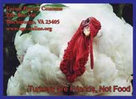 UPC Turkey Sticker