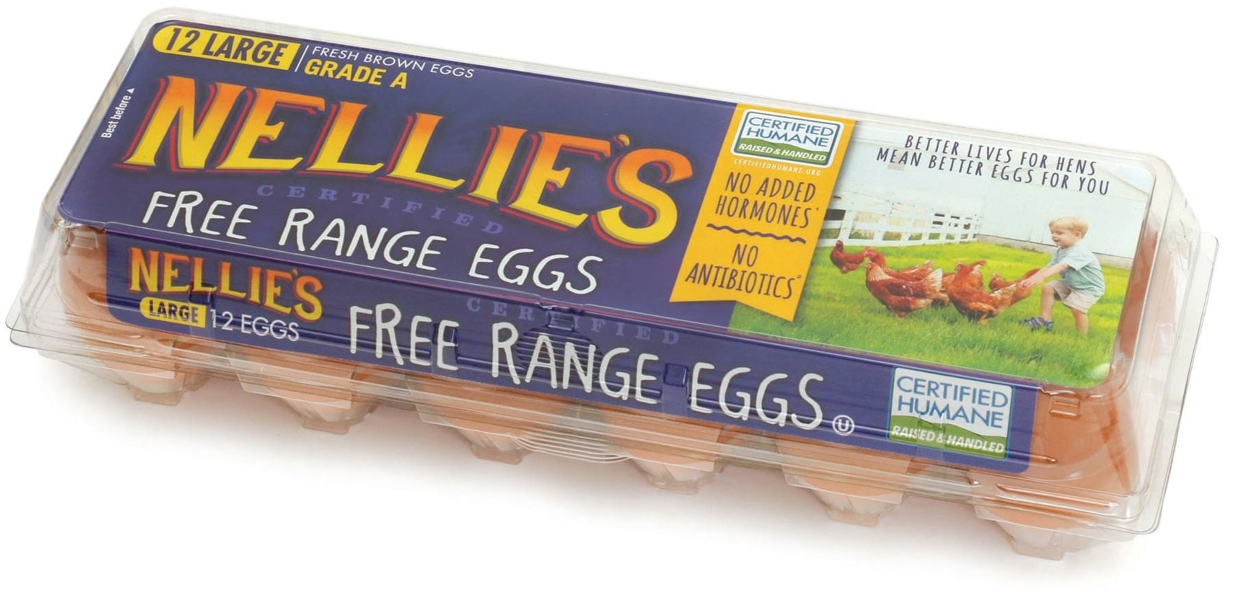 carton of Nellie's free range eggs