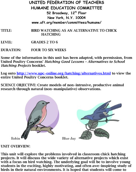 birdwatching_preview (143K)