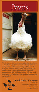 Pavos Brochure