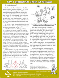 Truth About Eggs