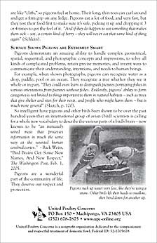The “Human” Nature of Pigeons - Back