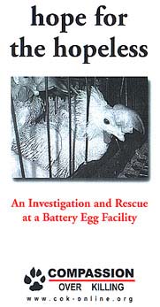 Hope for the Hopeless