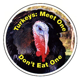 Meet a Turkey Button