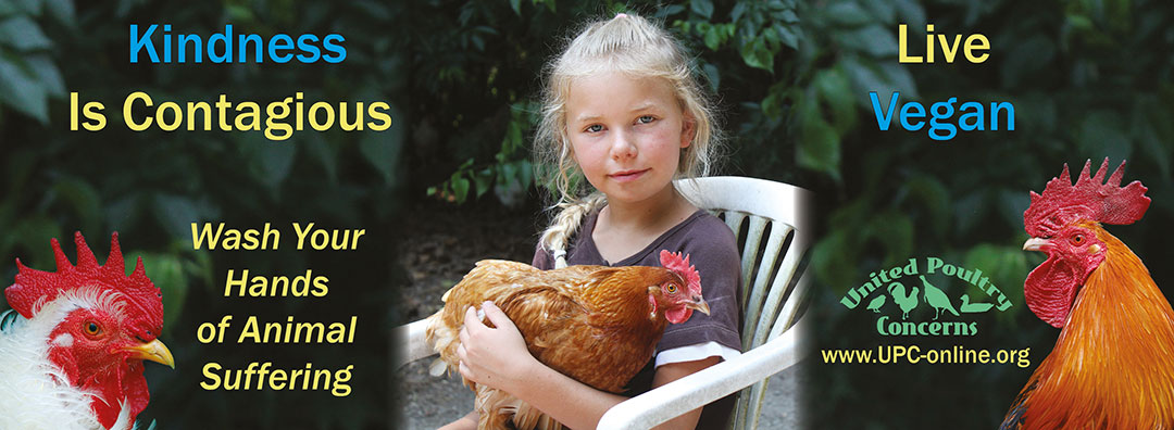 Kindness is contagious. Wash your hands of animal suffering. Live Vegan