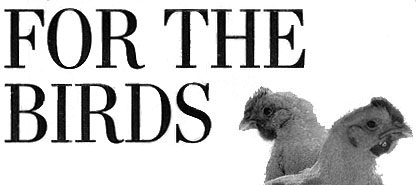 FOR THE BIRDS