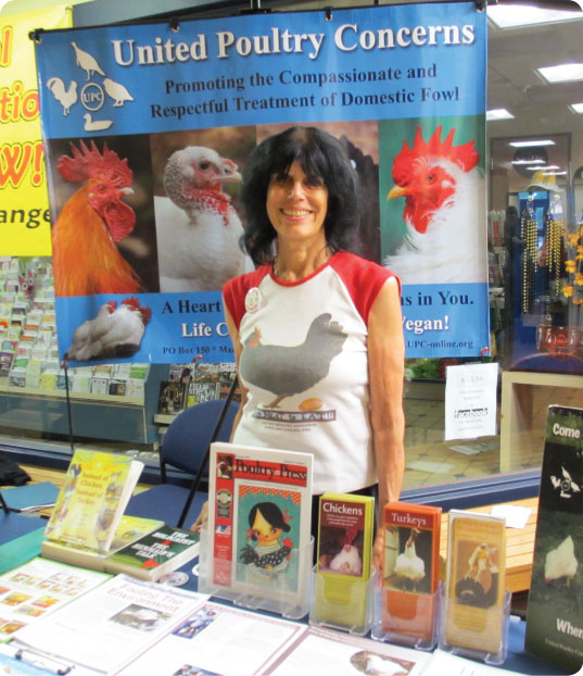 karen davis summerfest