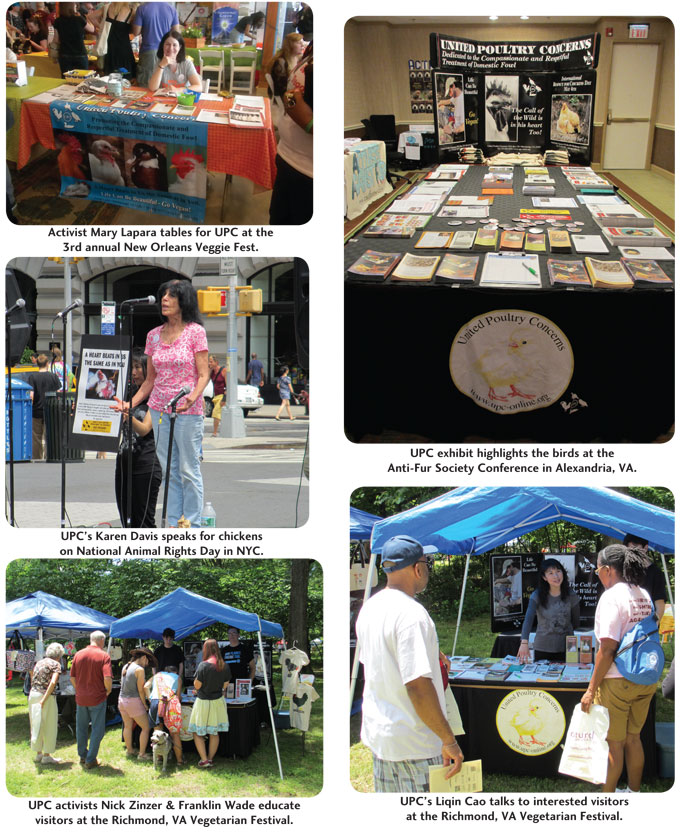 summer2013 photo gallery