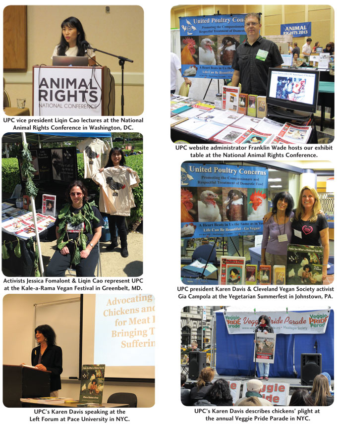 summer2013 photo gallery2