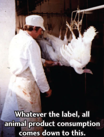 humane hoax