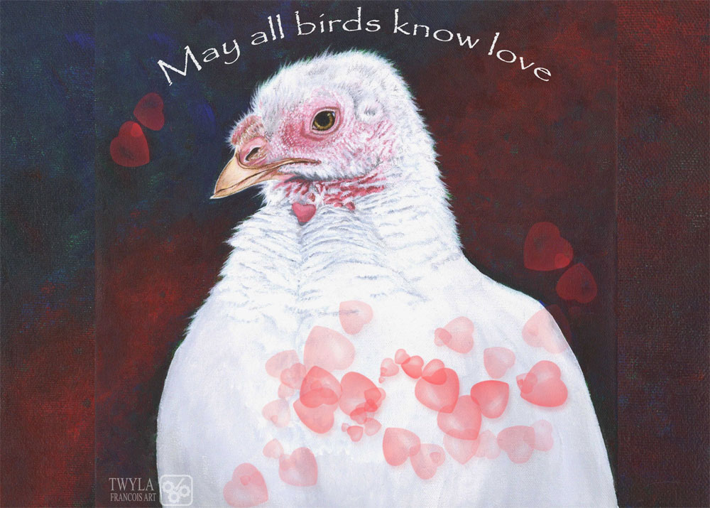 May All Birds Know Love