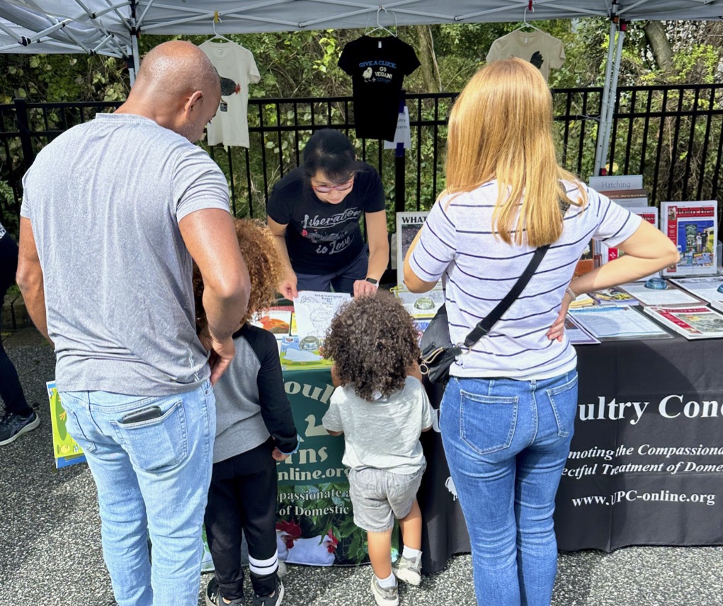 MD Vegan Fest at Roots Market, MD