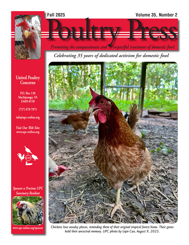 pp34.3 cover