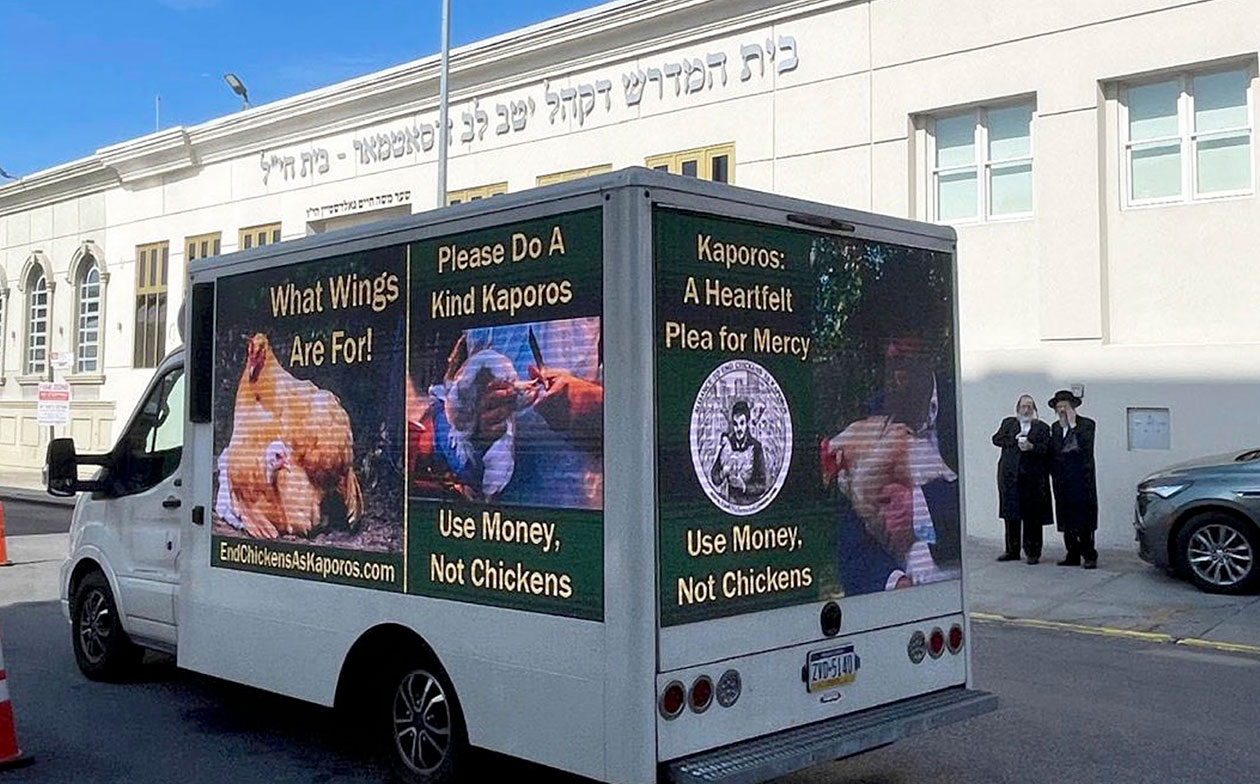 End Chickens As Kaporos Truck 1