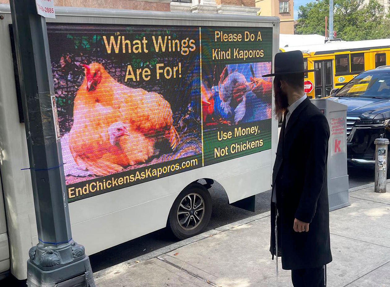 End Chickens As Kaporos Truck 2