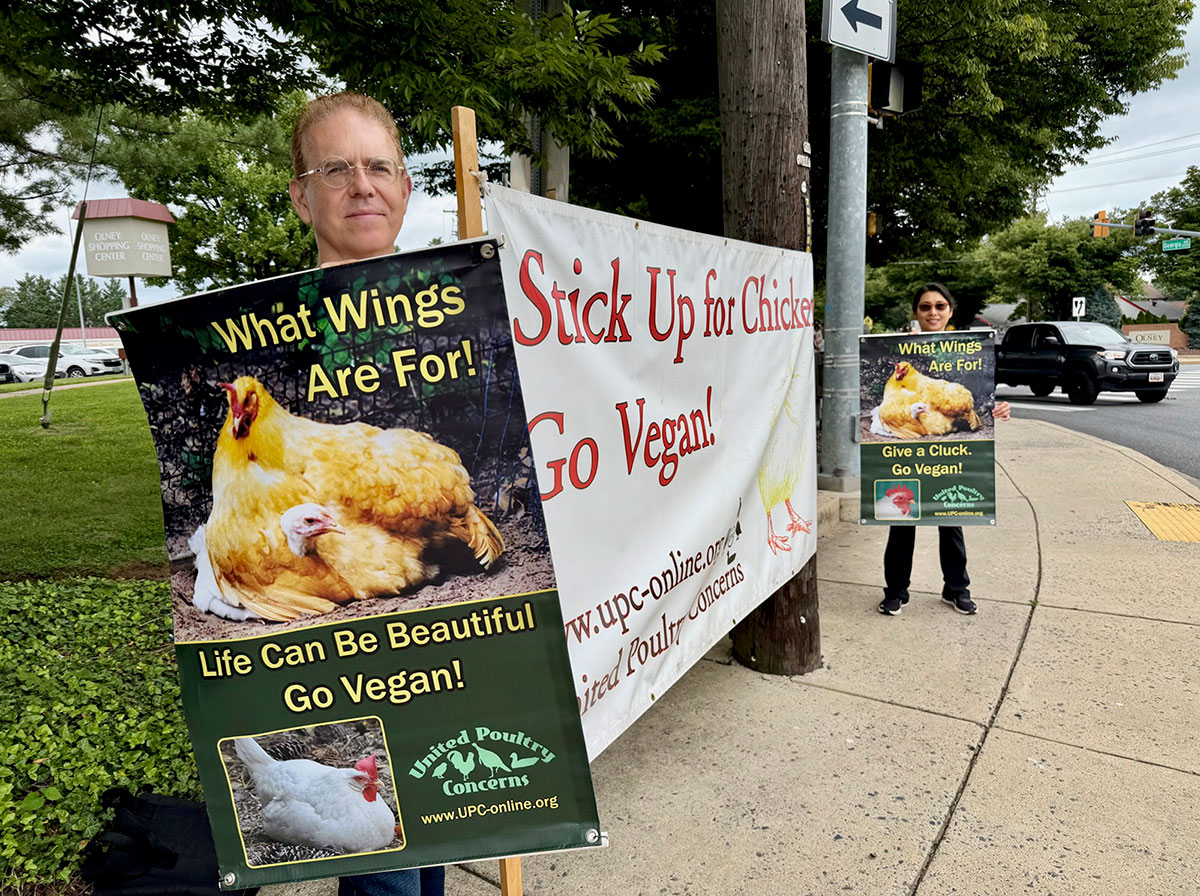Peaceful Demo in Olney, MD
