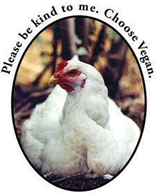 Please be kind to me. Choose Vegan.