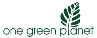 one green planet