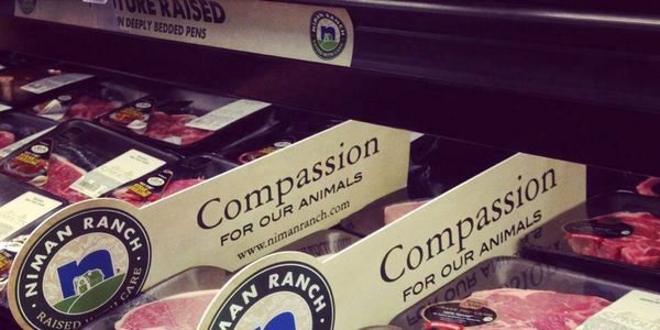 whole foods ironic compassion sign